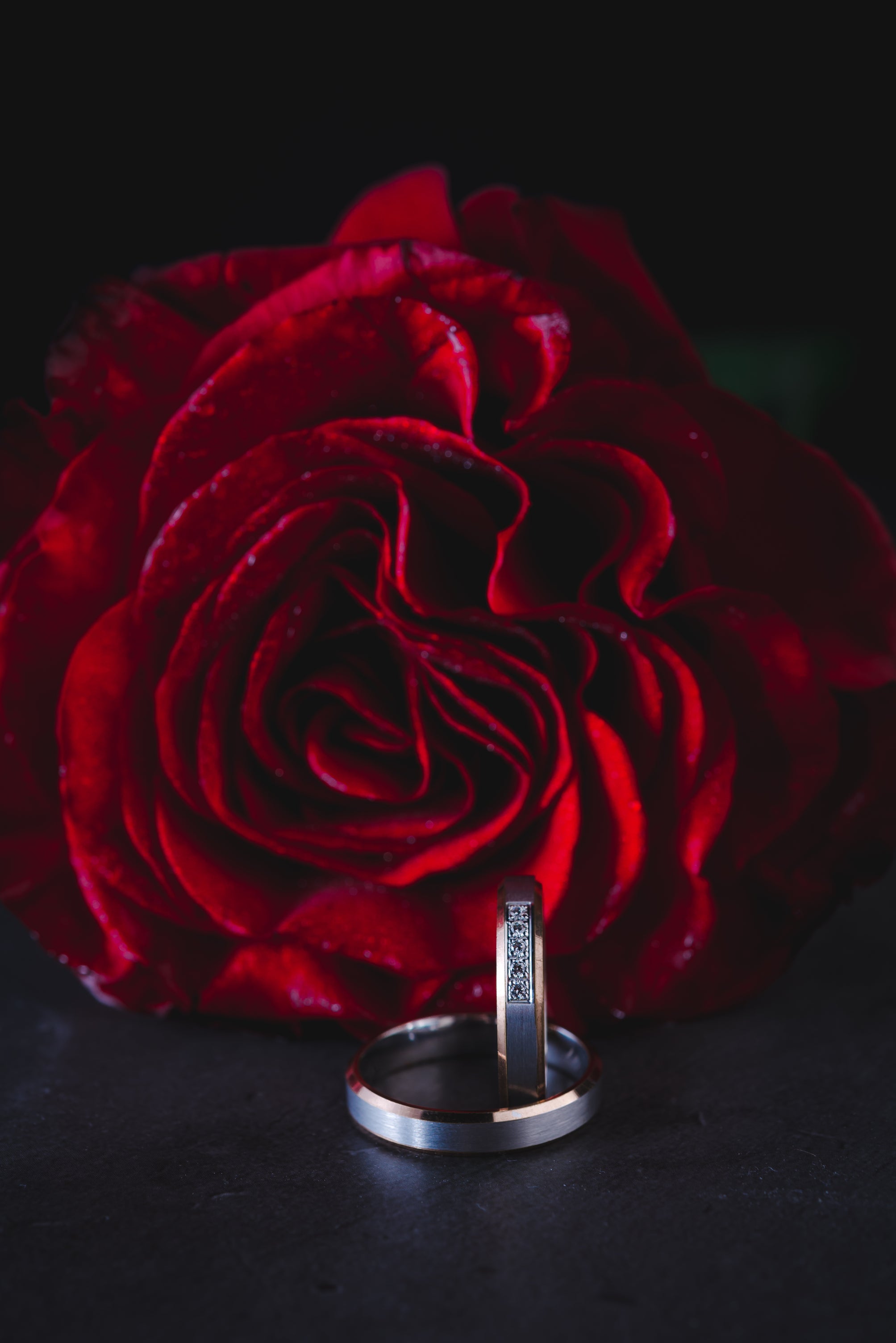 Verighete GILIAS - Bijuterii LA ROSA